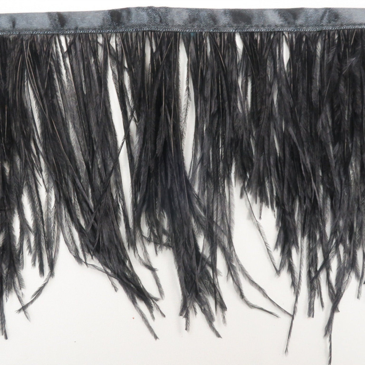 Black Ostrich Feather Trim 2 PLY