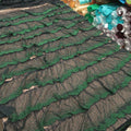 Black with Green Abstract Embroidered Tulle Fabric - Rex Fabrics