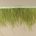 Light Olive Ostrich Feather Trim 2 PLY - Rex Fabrics