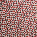 Ladybug Frolicking Fields Printed Cotton - Rex Fabrics