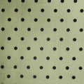 Black With Polka Dot Tulle Embroidered Fabric - Rex Fabrics