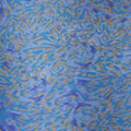 Yellow Blue and Fuchsia Abstract Printed Silk Charmeuse Fabric - Rex Fabrics