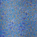 Yellow Blue and Fuchsia Abstract Printed Silk Charmeuse Fabric - Rex Fabrics