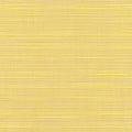 Sunbrella Elements	8012-0000 54" DUPIONE CORNSILK - Rex Fabrics
