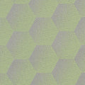 Sunbrella European Collection  HEX J206  Hexagon Mint - Rex Fabrics