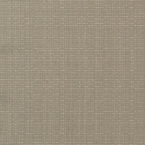 Sunbrella Elements	8374-0000 54" LINEN TAUPE - Rex Fabrics