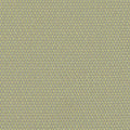 Sunbrella European Collection  LOP R022 Lopi Pistache - Rex Fabrics