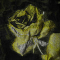 White and Yellow Flowers In a Black Sheer Background Dandelion Floral Brocade Fabric - Rex Fabrics