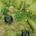 Green Beaded Colored Floral Embroidered Fashion Fabric - Rex Fabrics