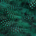 Green Feathered Embroidered Fashion Fabric - Rex Fabrics