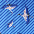 Blue and White with Stripes Birds Crepe Printed Polyester - Rex Fabrics