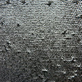 Gray Nickel Sequin on Black Tulle Ground - Rex Fabrics