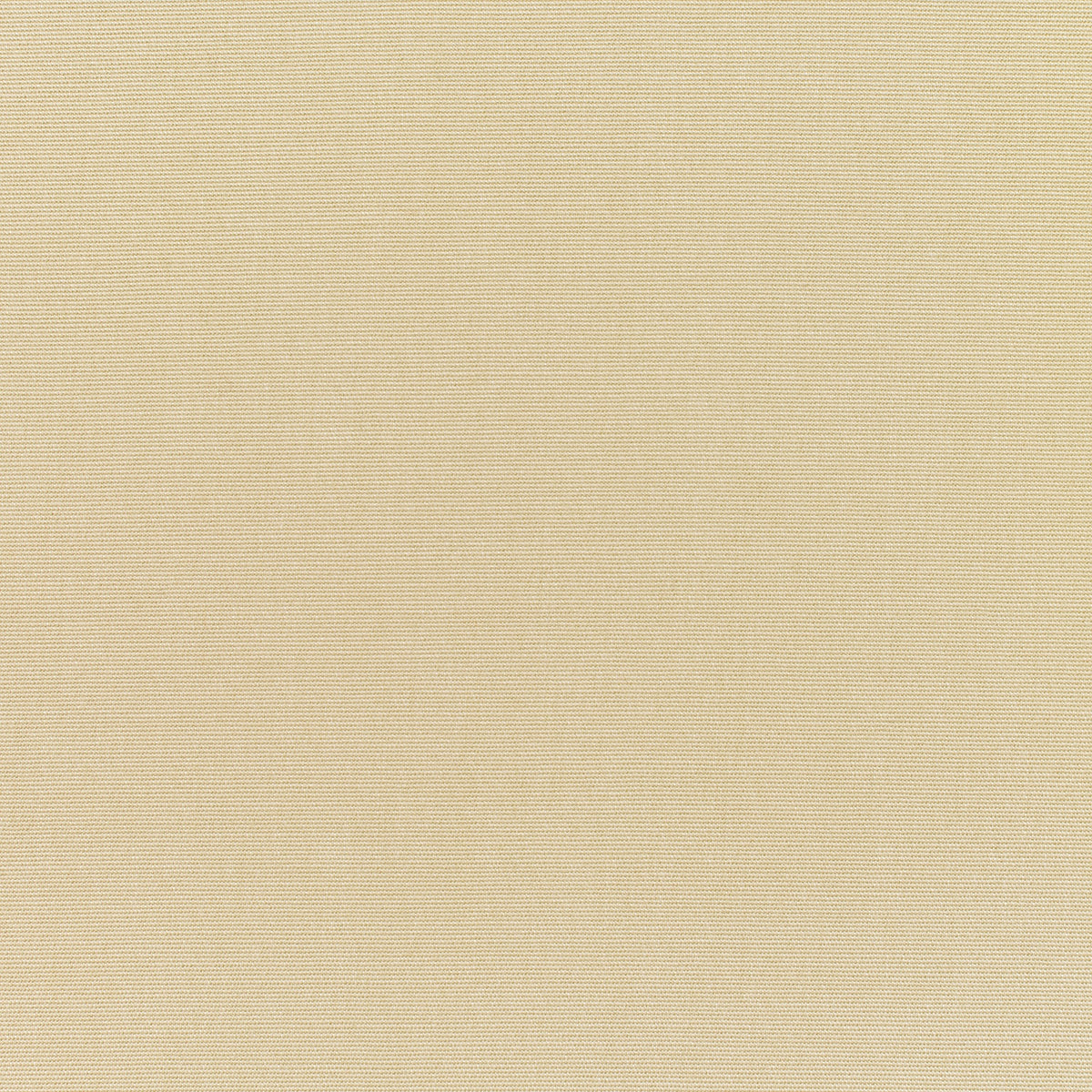 Sunbrella® Canvas Antique Beige Elements Upholstery 54
