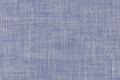 Capri Solid Light Blue Shirting - Rex Fabrics