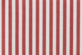 Street Red Bengal Stripe Shirting - Rex Fabrics