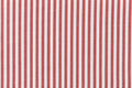 Street Red Candy Stripe Shirting - Rex Fabrics